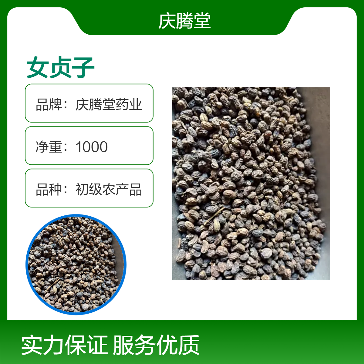 庆腾堂 批发 女贞子 当年新货 干净 无杂质 保质保量