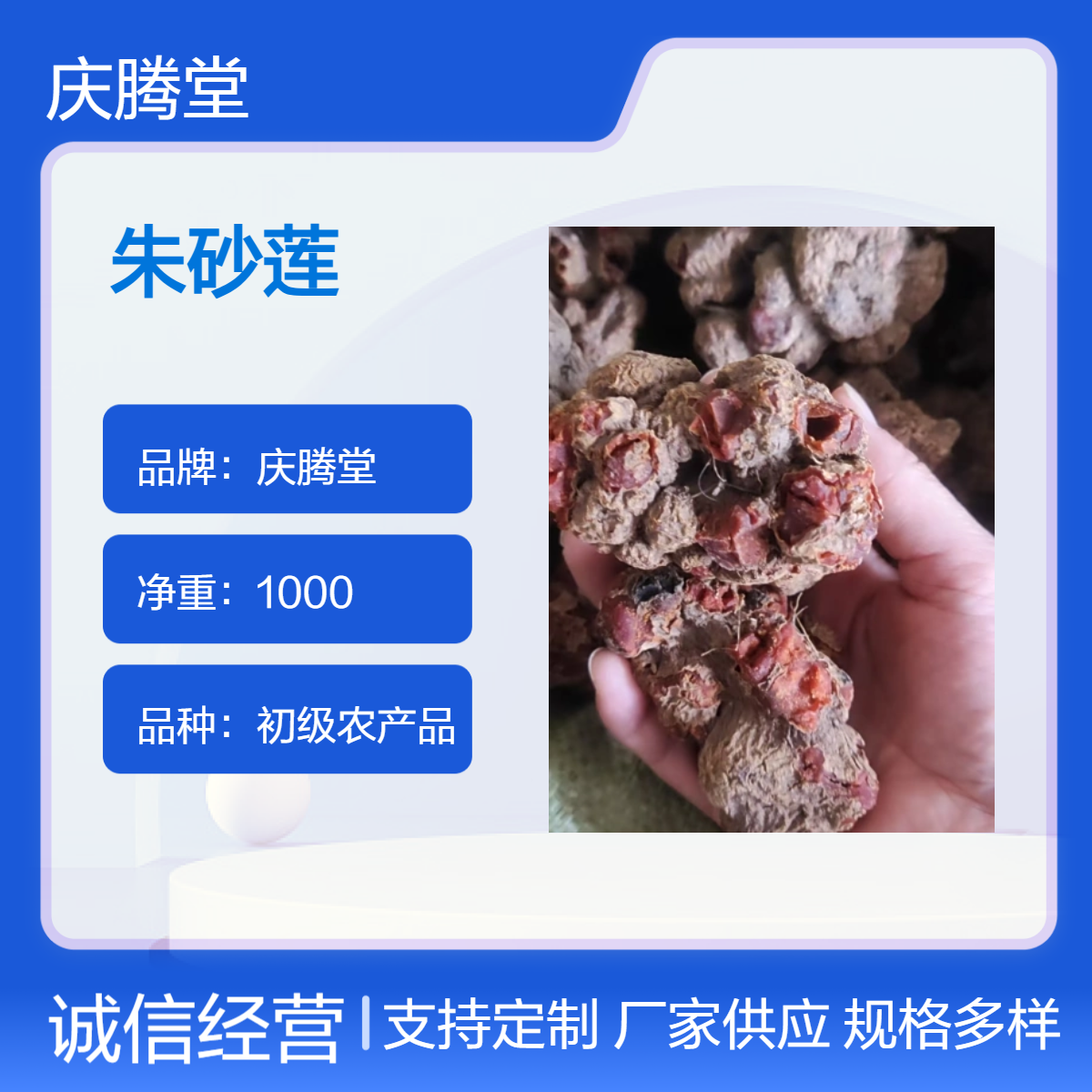 朱砂莲 牛血莲 无硫 新货 产地直售 各种规格 一公斤包邮