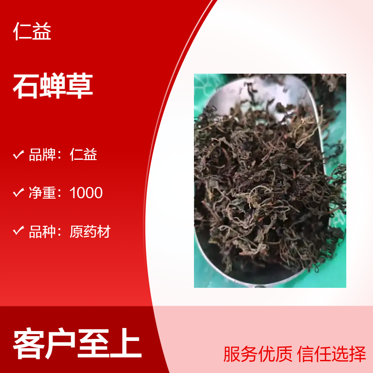 仁益一级石蝉草 原药材袋装 24小时速发