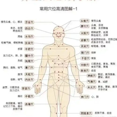 菜 正宗港式丝袜奶茶做法