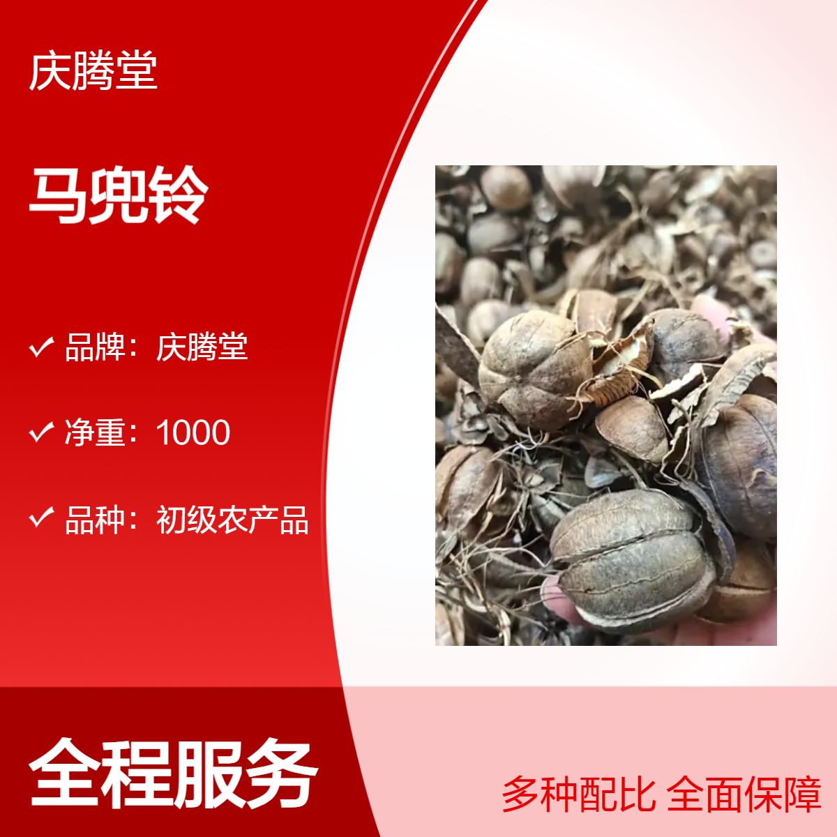 冷背药材马兜铃 批发 当年新货 无硫 自然晒干 保质保量