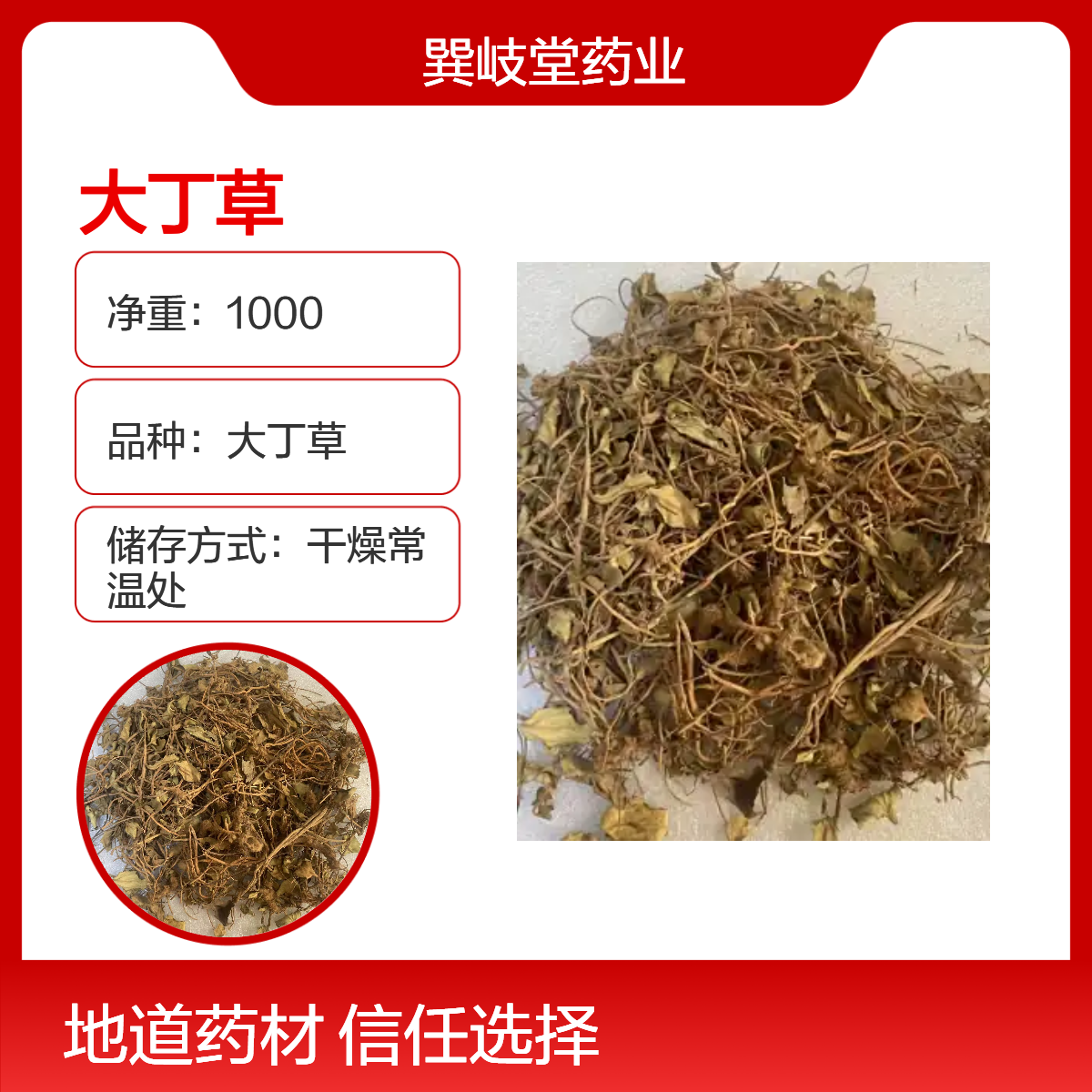 中药材天然野生大丁草各种中草药批发规格齐全