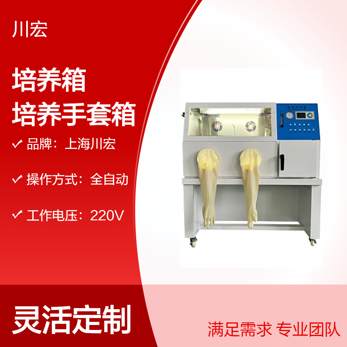 厌氧培养箱 YQX-II 乏氧真空细菌培养手套设备