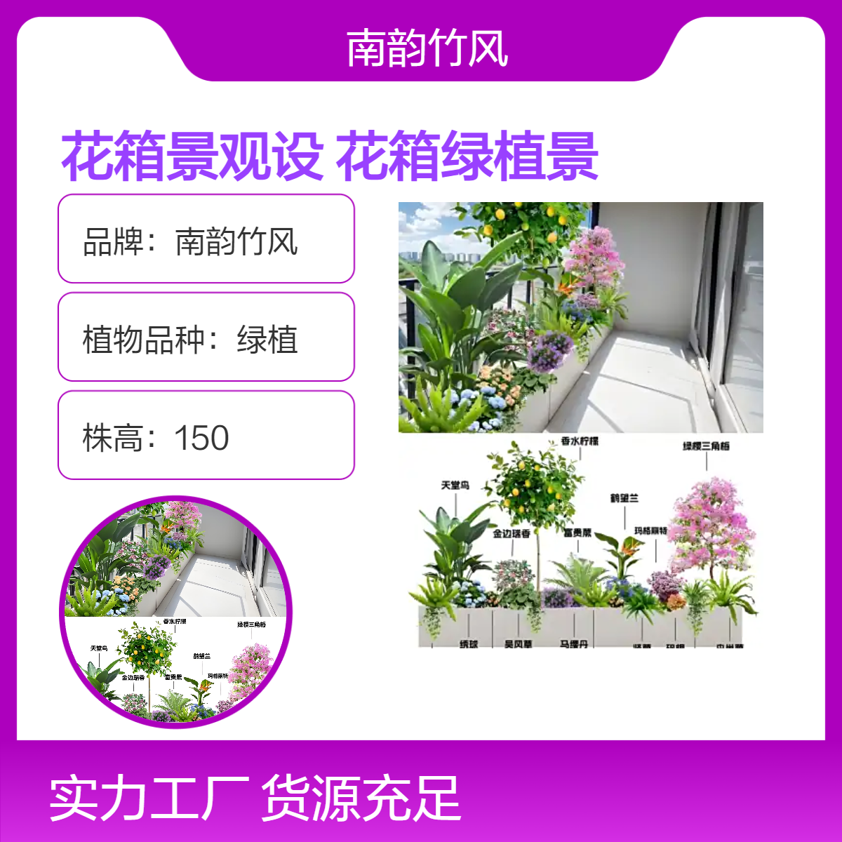 南韵竹风新中式花箱绿植 家居装饰土培观赏植物