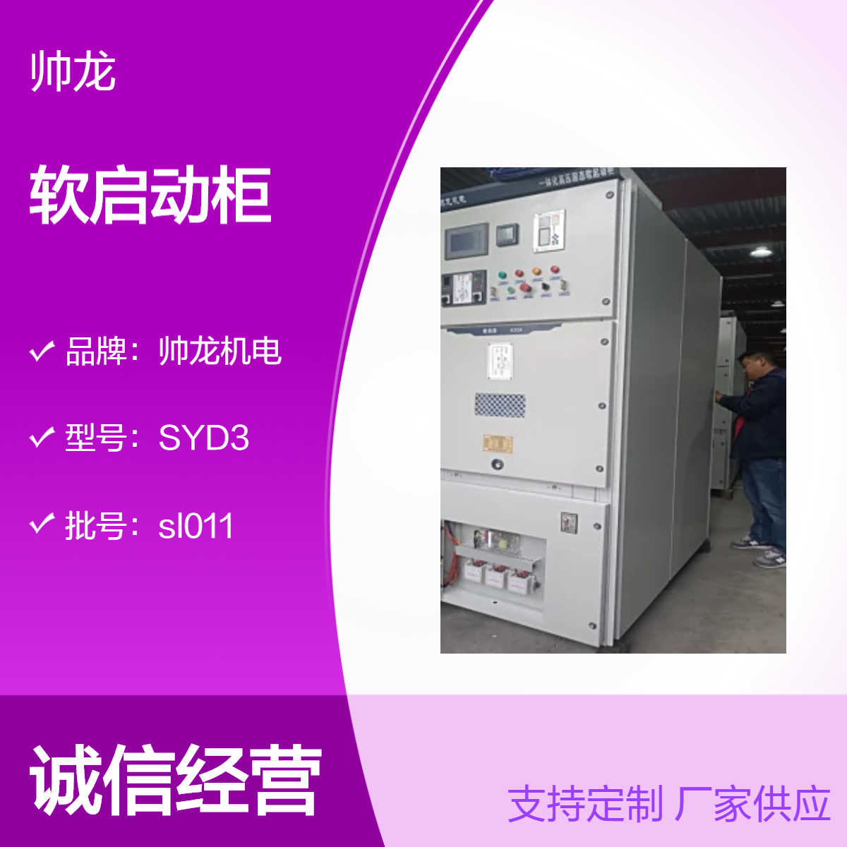 帅龙机电SGR型高压固态软启动柜 水泵 风机 空压机起动控制柜