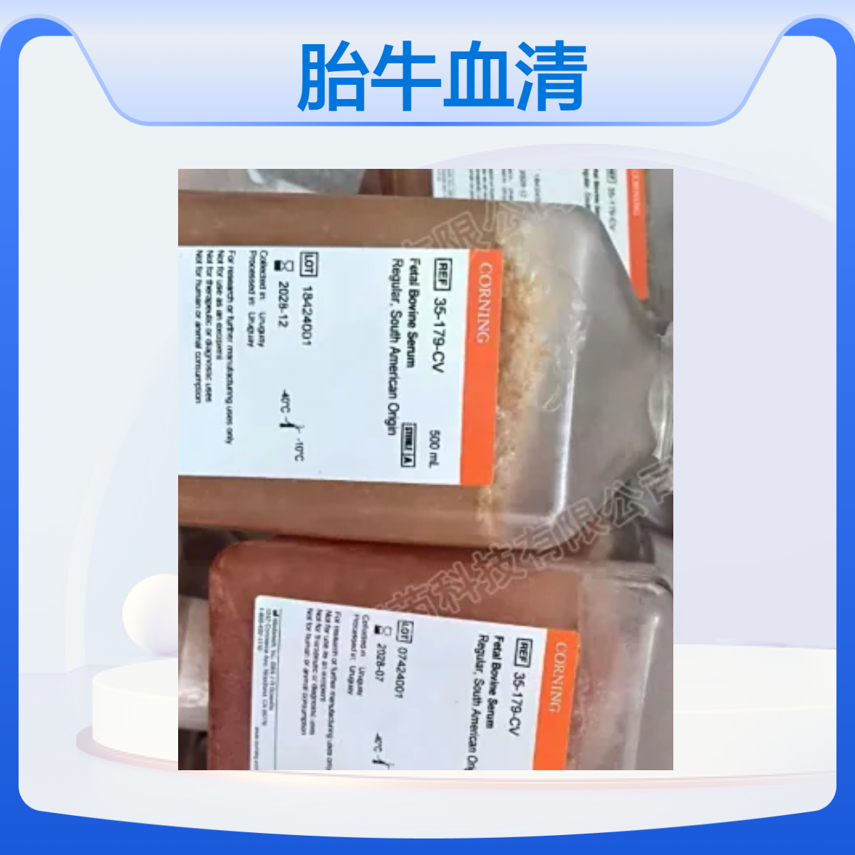 35-179-CV美国Corning康宁无菌胎牛血清500 毫升