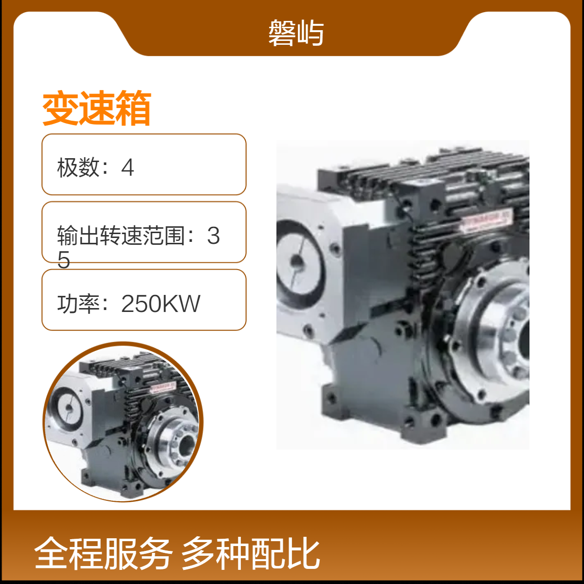 法国Dynabox 250 220v/60Hz变速箱原装正品改装和定制