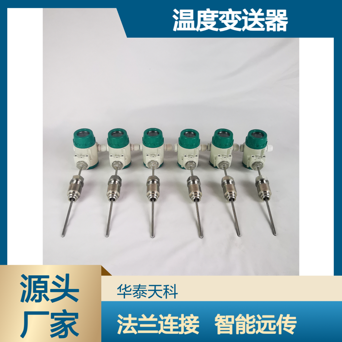 FF协议 温度变送器 顶部安装 远传功能 源头厂家 污水处理 安装简单
