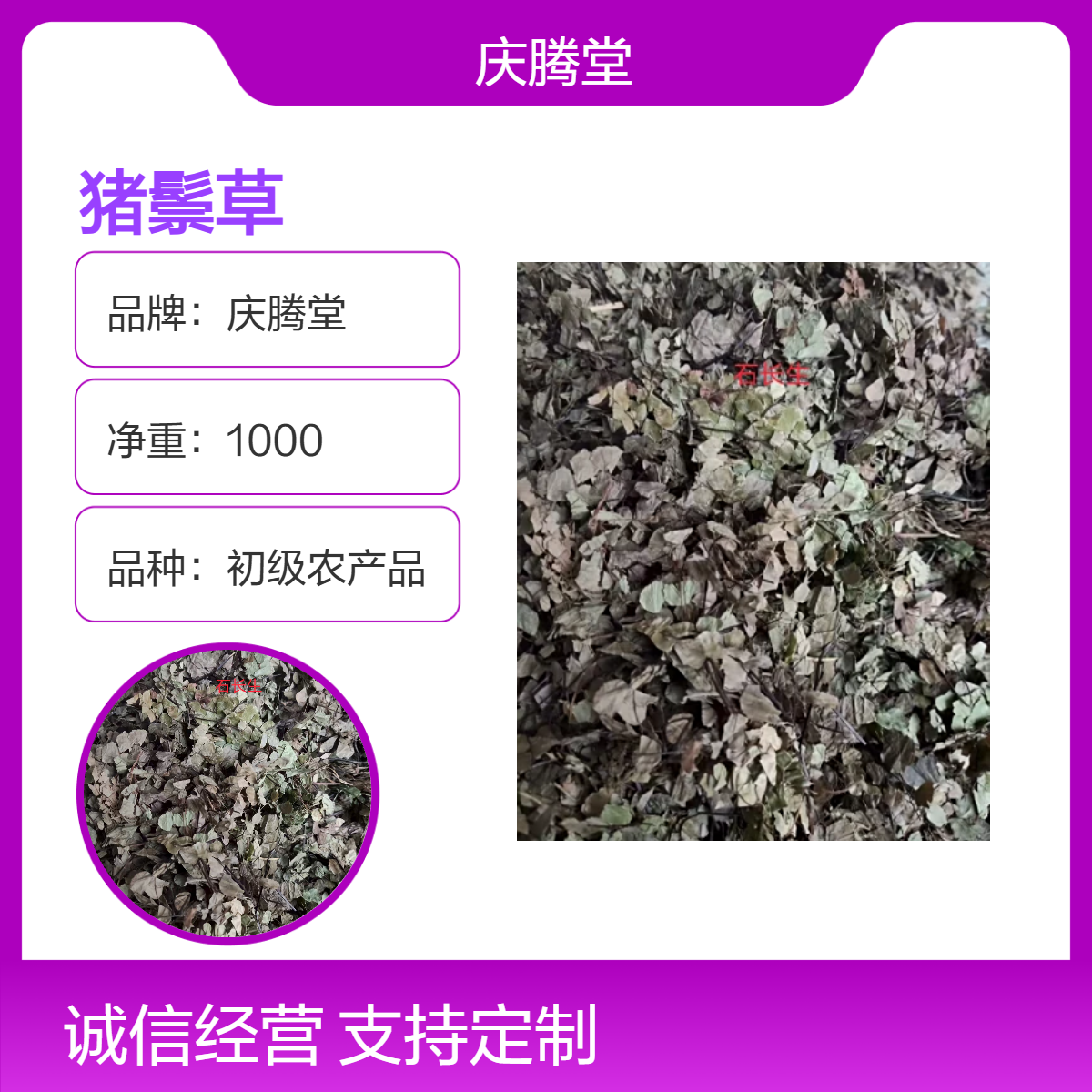 批发中药材 猪鬃草 长生草 当年新货 无硫 品质正宗