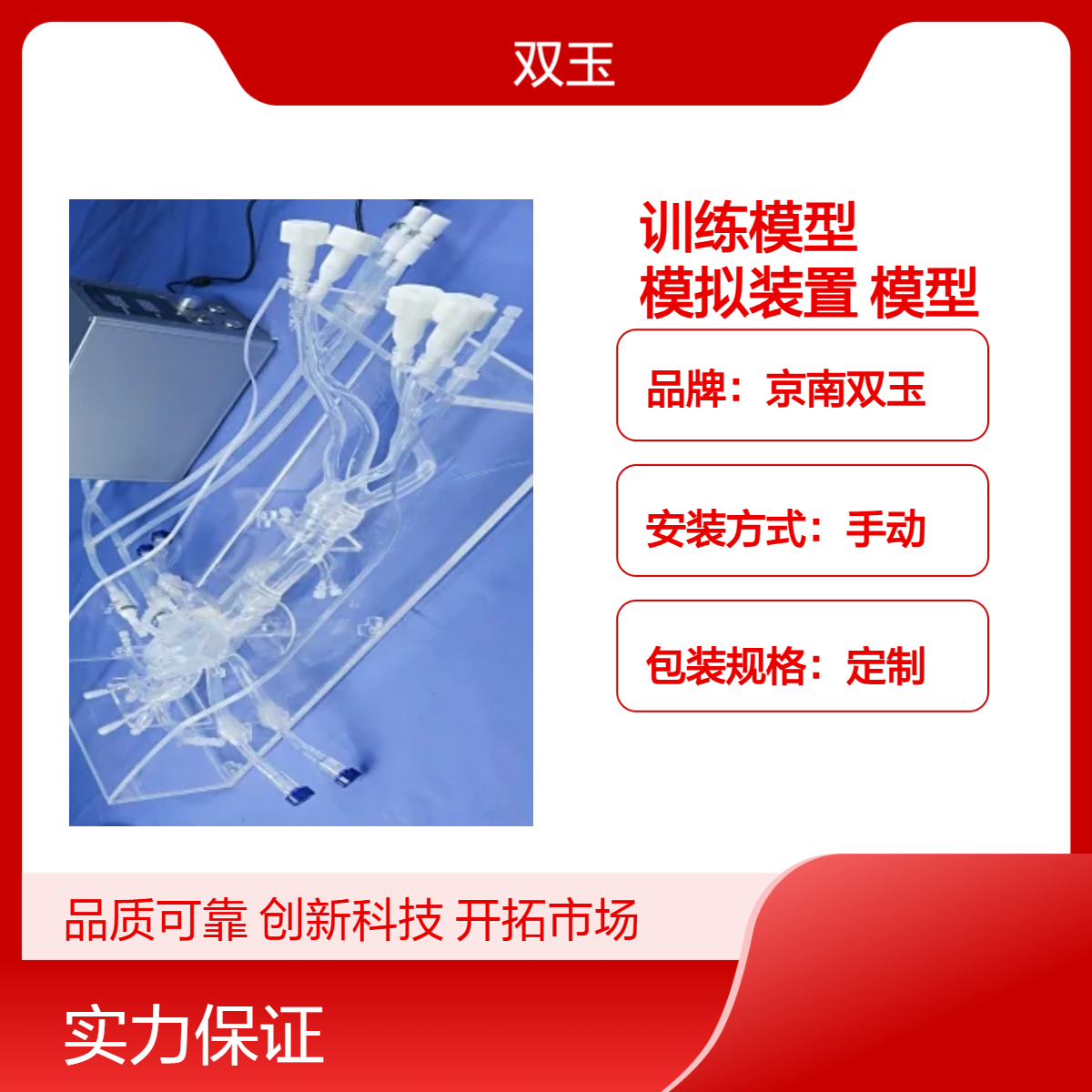 心脏介入训练模型心脏血管模拟装置心电生理模型