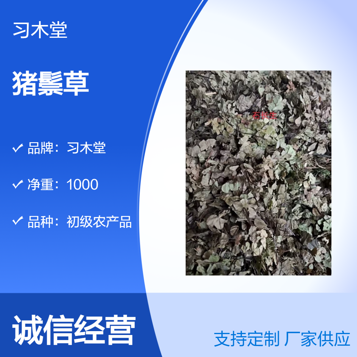 习木堂 原色 猪鬃草 初级农产品 当年新货 无硫 品质好