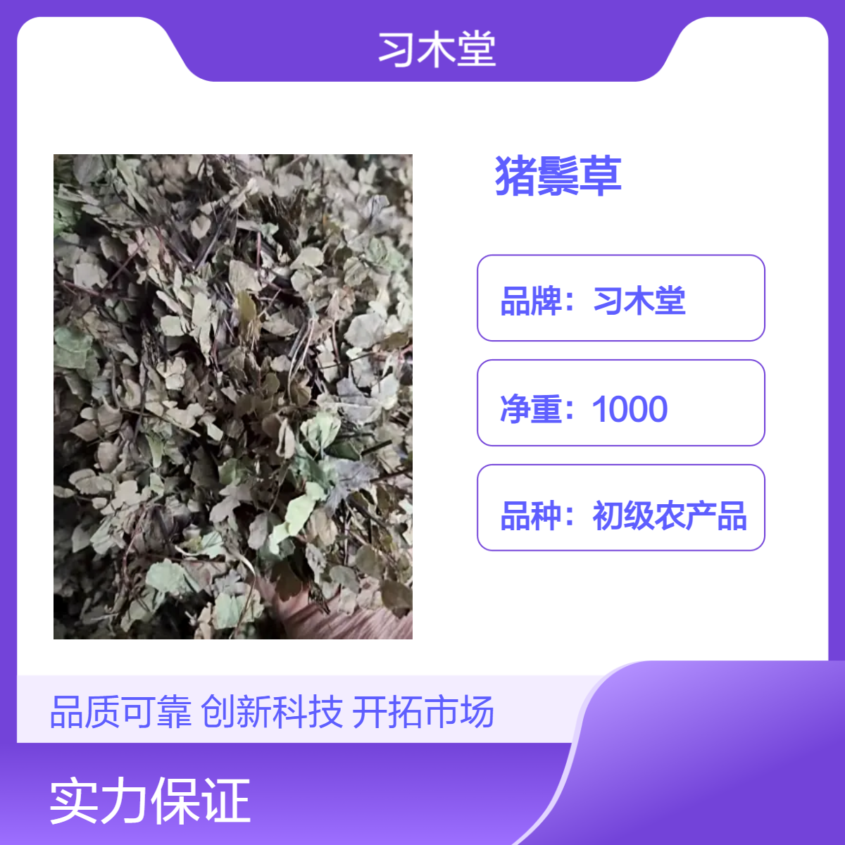 供应冷背药材 猪鬃草 石长生 新货 无硫 干净 货源充足