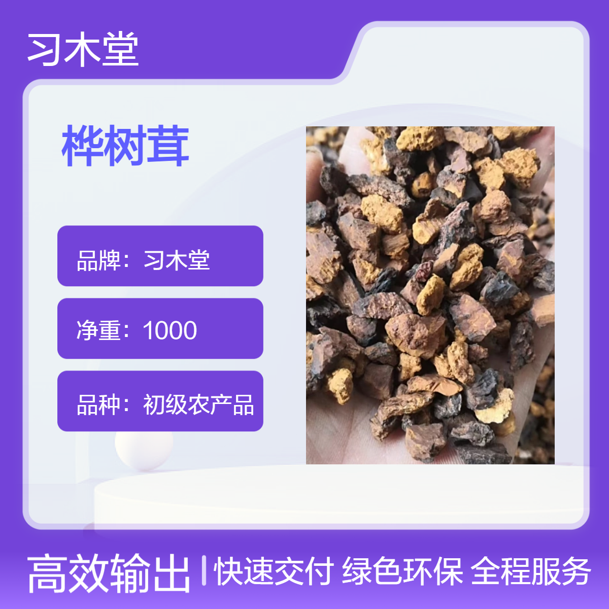 习木堂 桦树茸 批发 新货 无硫 各种规格 品质好 货源充足 产地直售