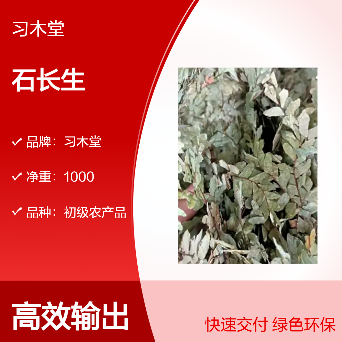 冷背药材石长生 长生草 龙胆草 新货 无硫 质量保证