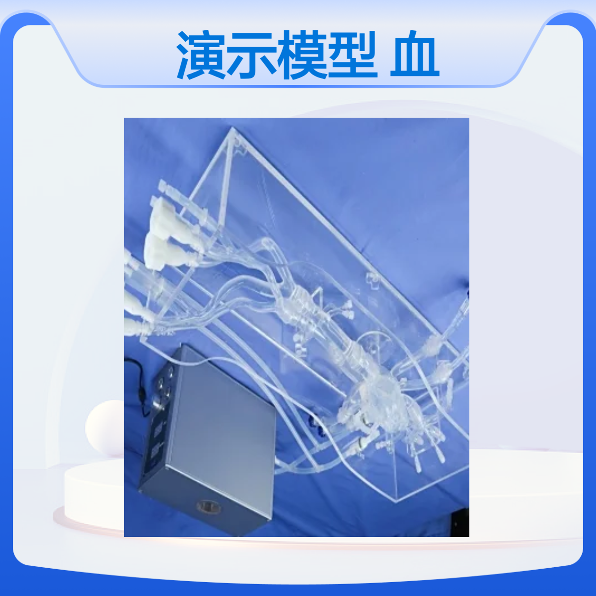 加工电生理演示模型心脏介入血管模型订制产品