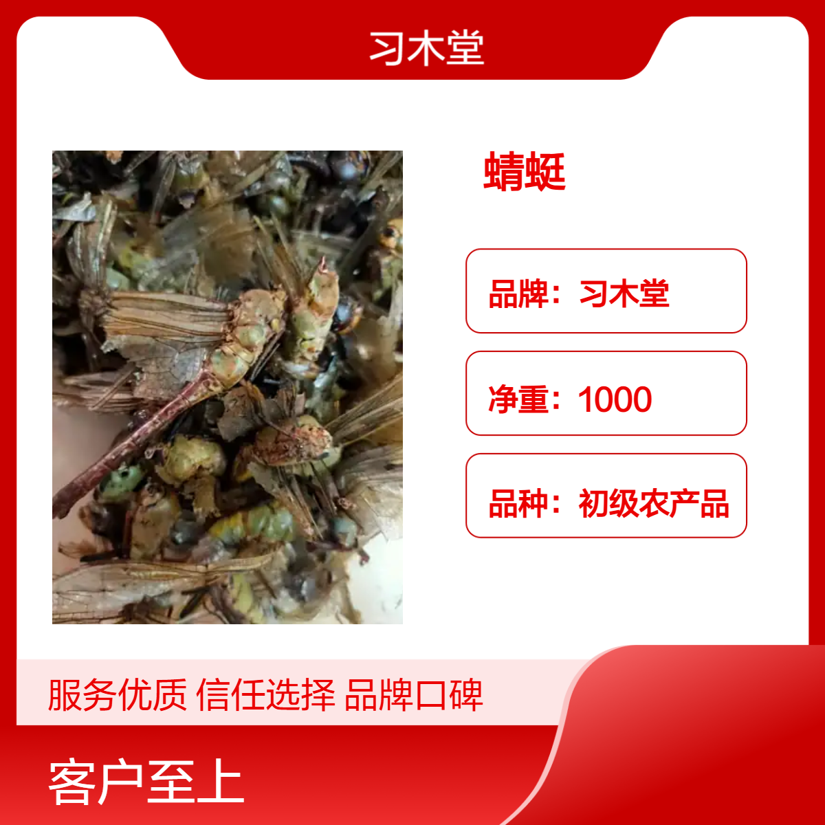 习木堂 蜻蜓 新货 无硫 干净 各种昆虫批发 保质保量