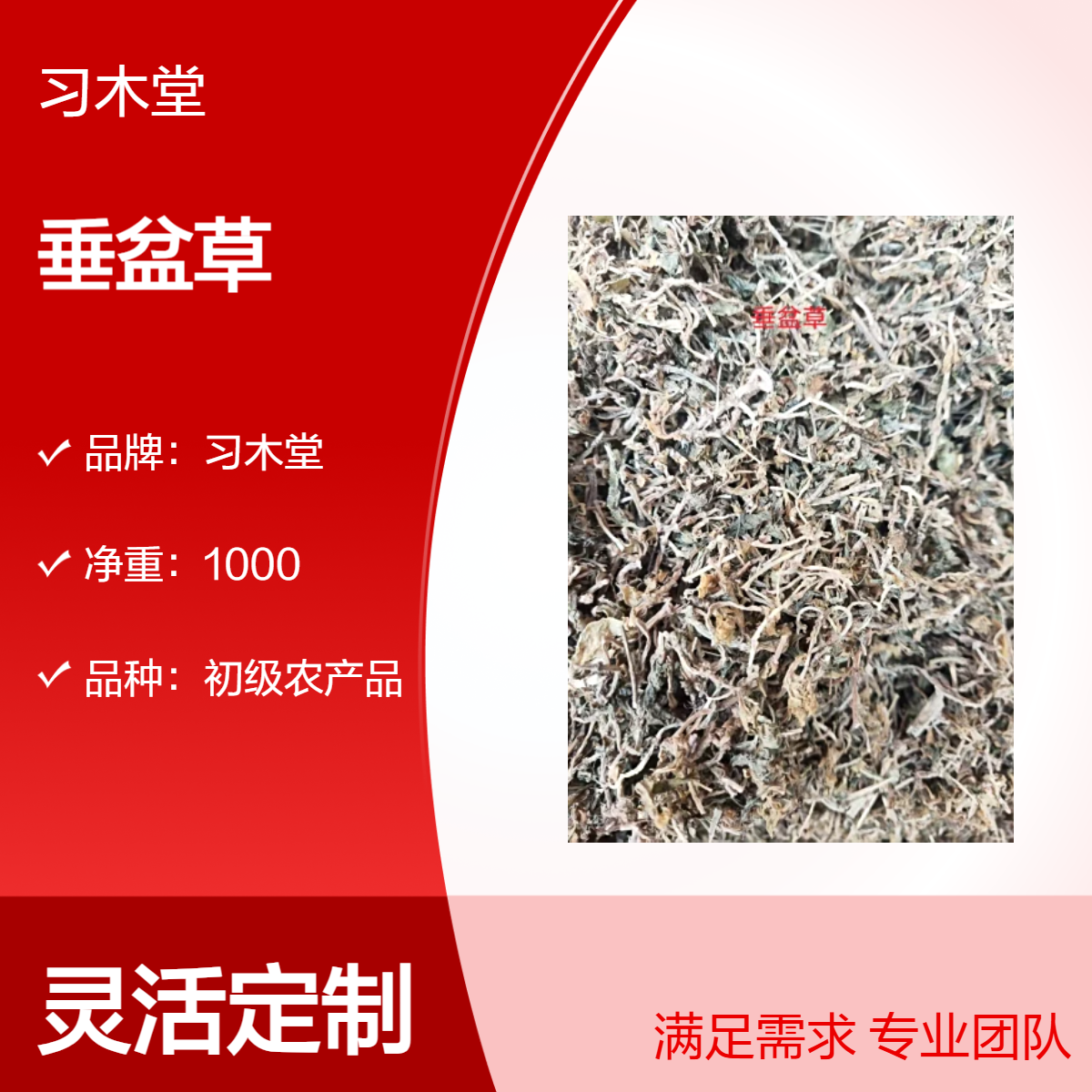 批发 中草药 垂盆草 车前草 鱼腥草 当年新货 无硫 自然晒干