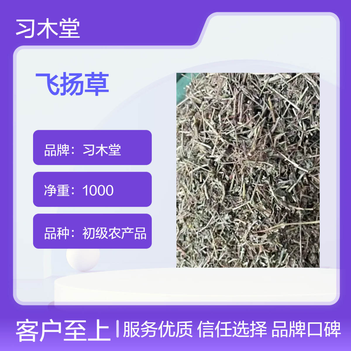 中药材 飞扬草 批发 当年新货 无硫 品质好 产地直售 货源充足