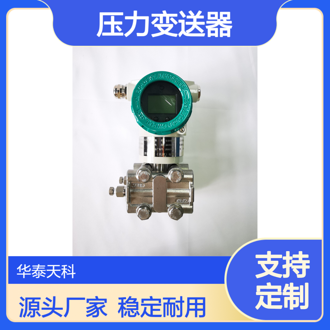 差压变送器 带FF协议 负压测量 带显示 螺纹安装 造纸行业 实地验厂