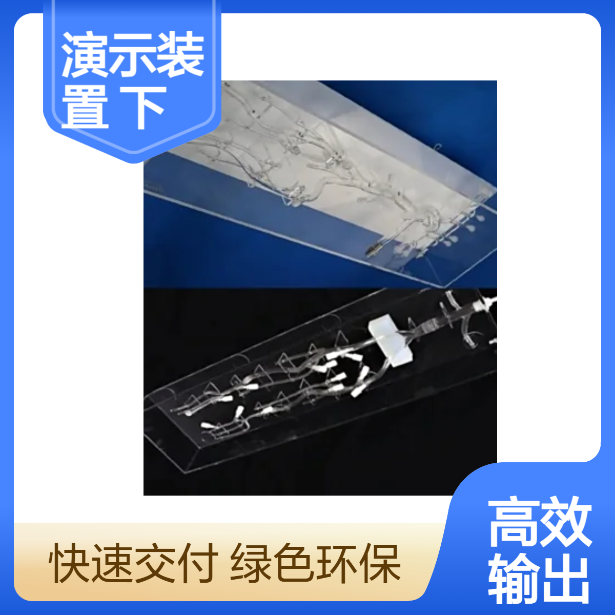 下肢静脉模型介入血管演示装置下腔静脉模型下肢血管