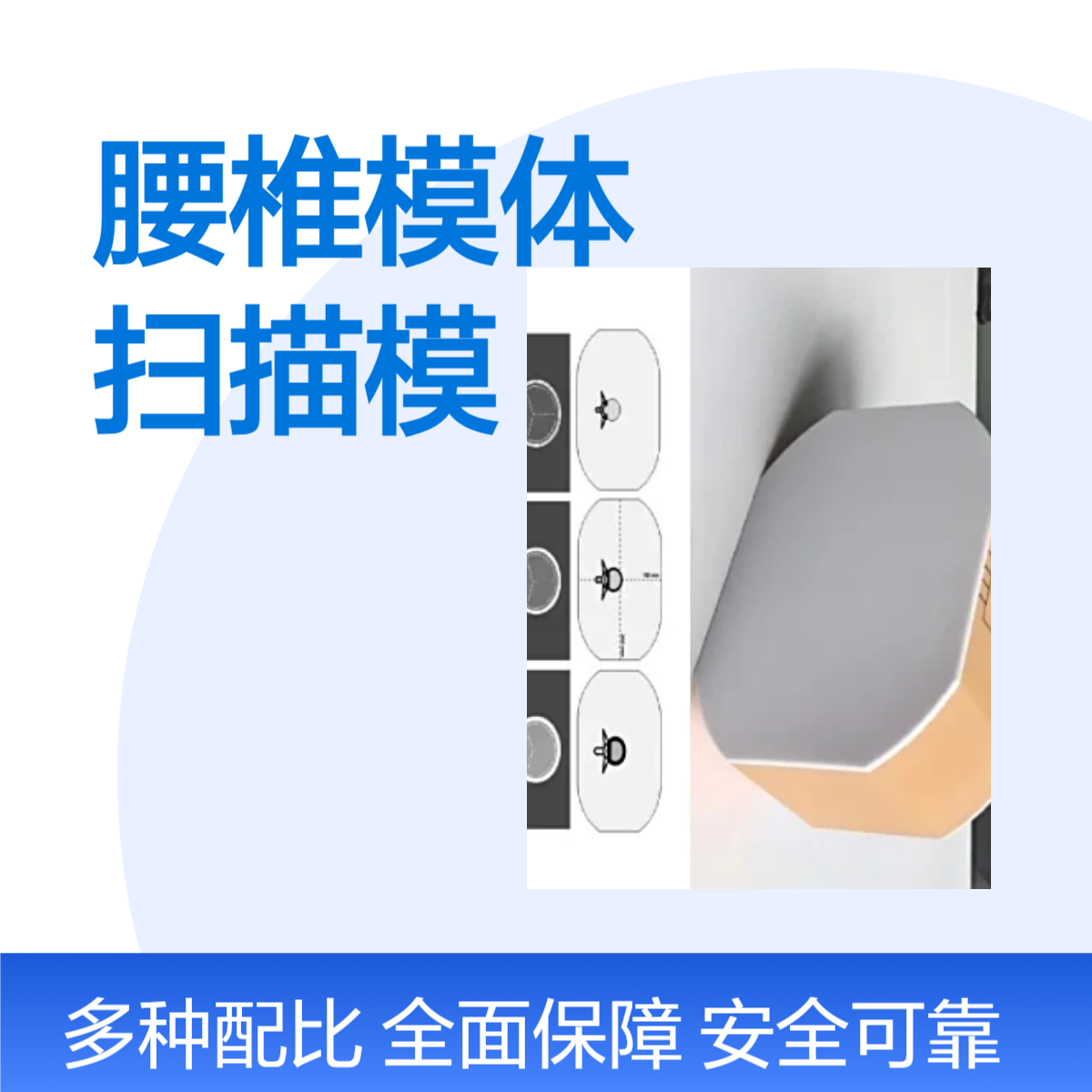 腰椎模体X射线腰椎扫描模体腰椎模型扫描成像腰椎体模