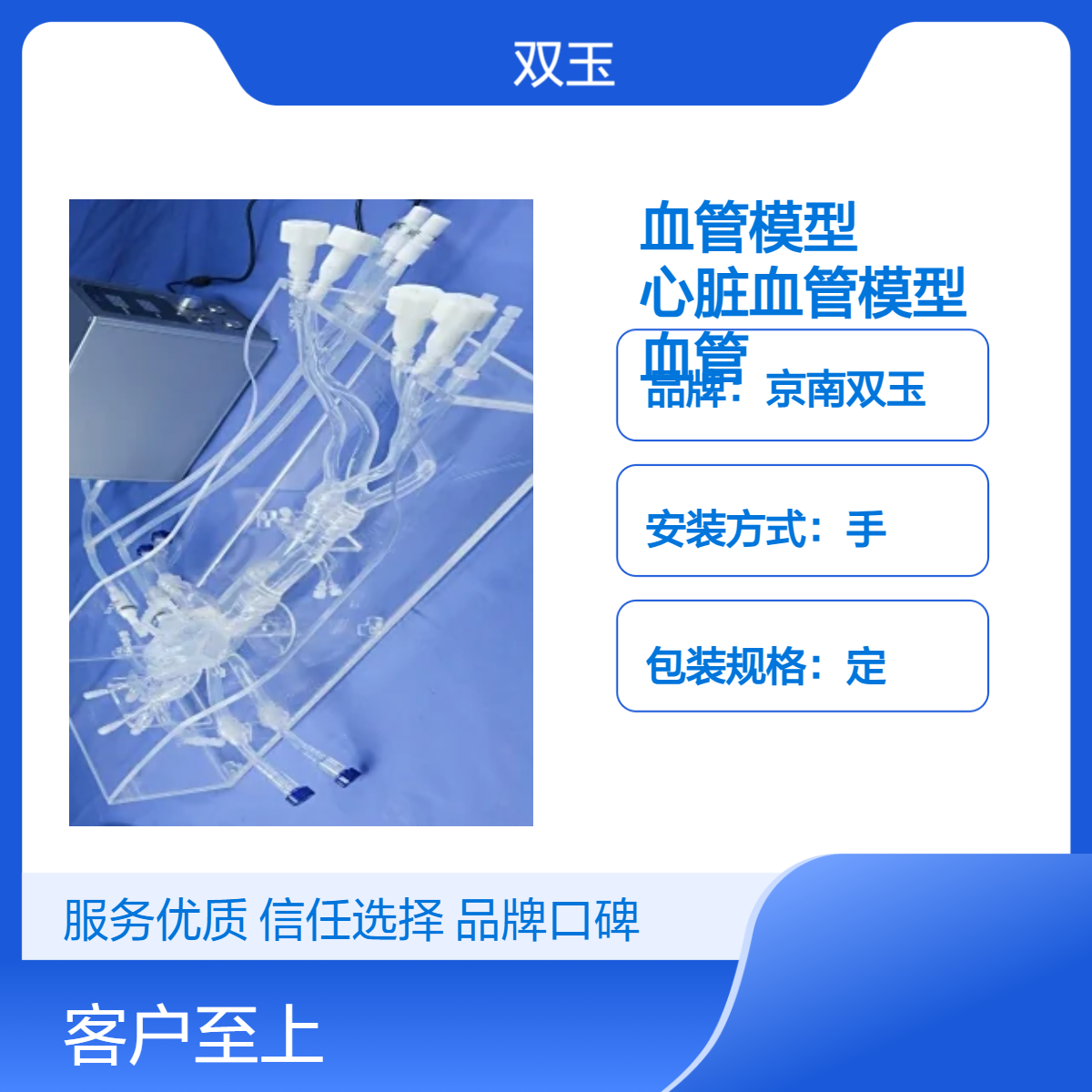 冠脉介入血管模型电生理心脏血管模型冠状动脉血管模
