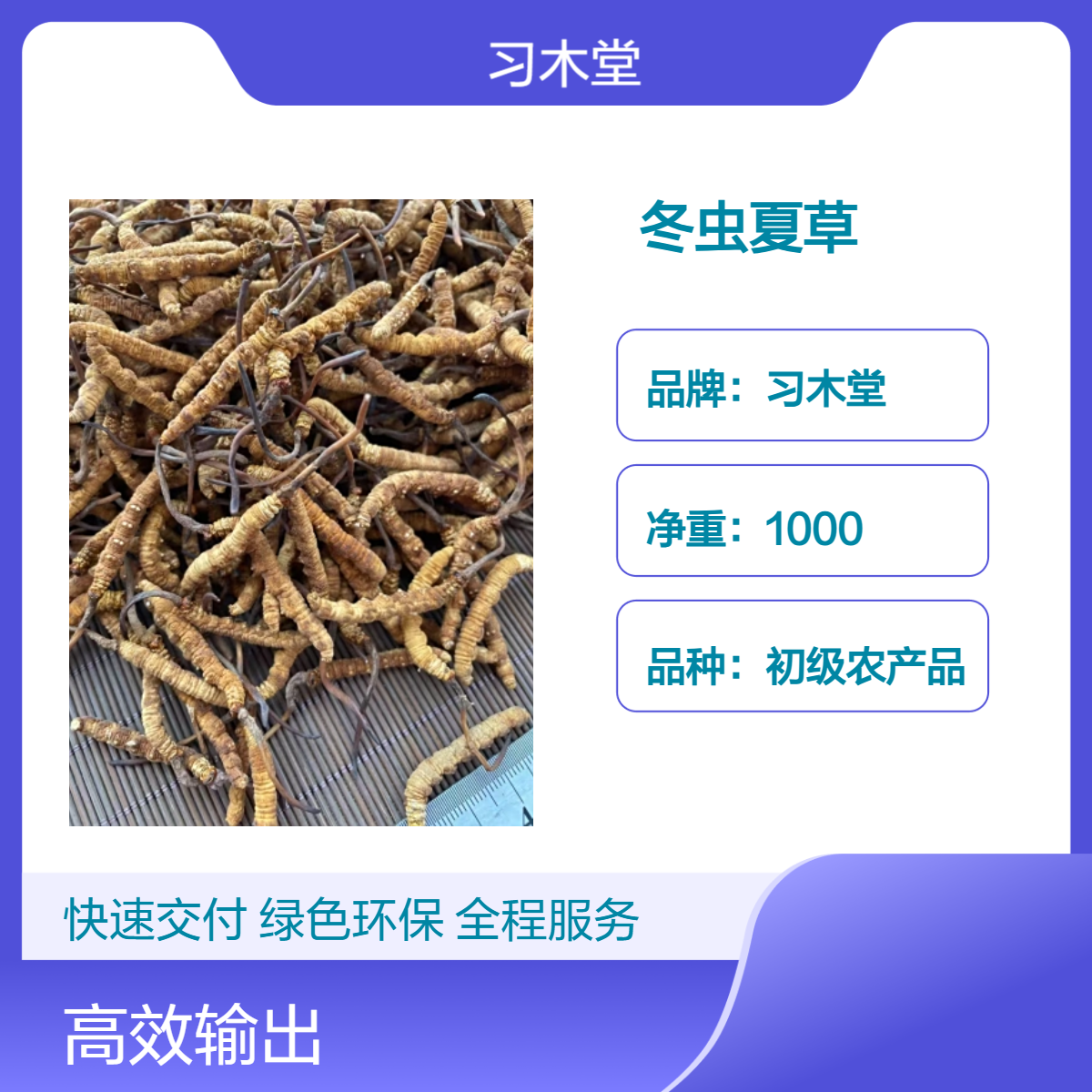 批发 冬虫夏草 无硫 新货 精选 各种规格 产地直售