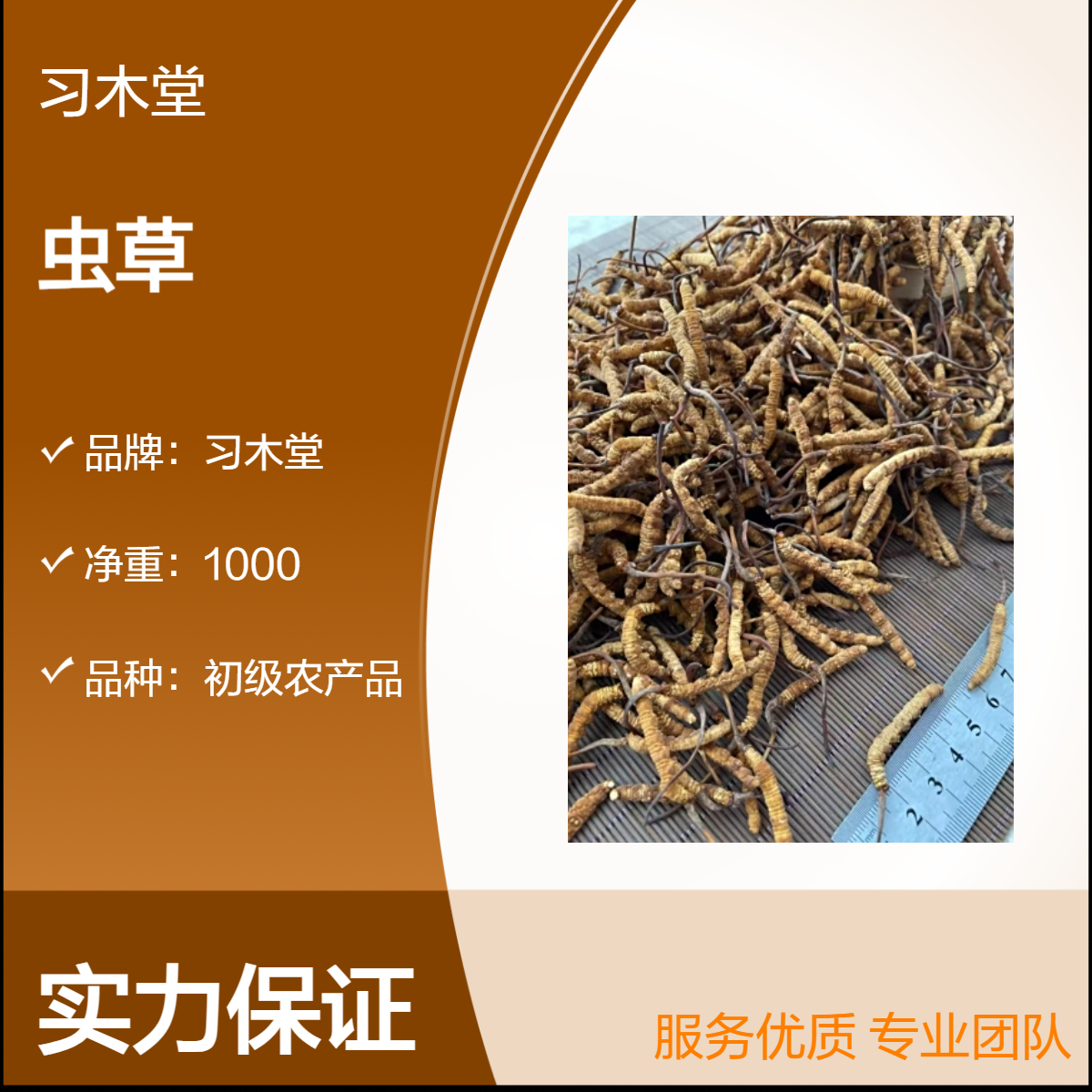批发 正宗 虫草 蛹虫草 无硫 新货 产地直售 保质保量