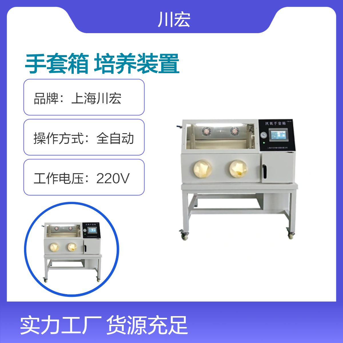 厌氧手套箱 YQX-III 带氧浓度真空微需氧培养装置