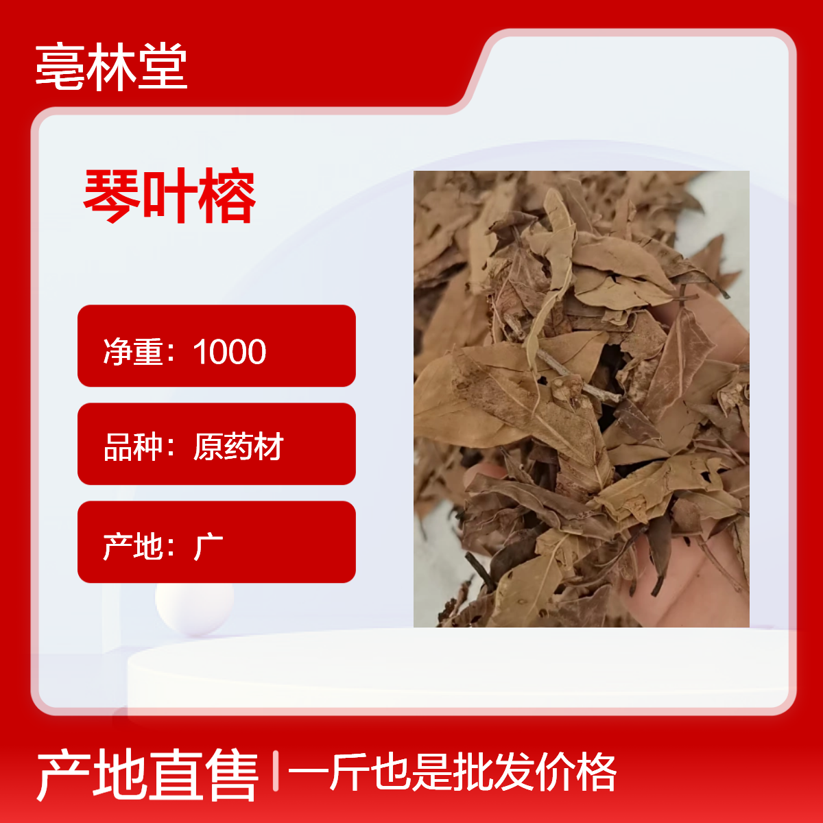 亳林堂药材批发 琴叶榕 纯度高 无硫货 原汁原味 保含量 规格齐全 包邮