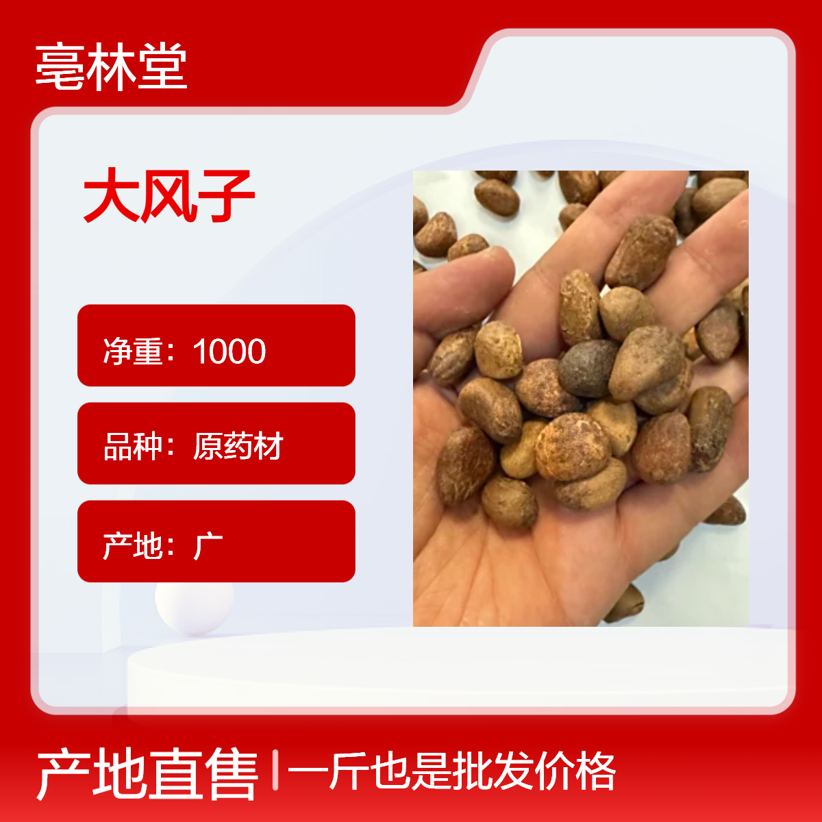 亳林堂药材批发 大风子 无硫货 高含量 原汁原味 保含量 规格齐全 包邮
