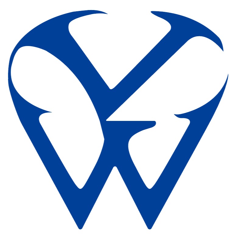 北京华欧世纪光电技术有限公司 - 公司logo