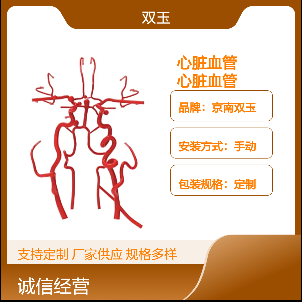 心血管结构教学模型介入心脏教学演示模拟心脏血管