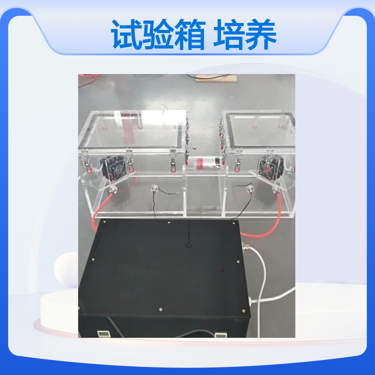 亚克力恒温培养试验箱藻类培养装置订制恒温培养箱定做
