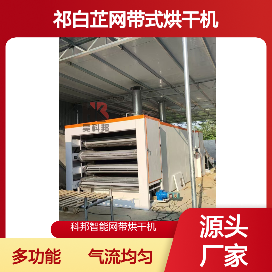 科邦大型网带式祁白芷烘干机 厂家直供 支持定制到场安装药材烘干房
