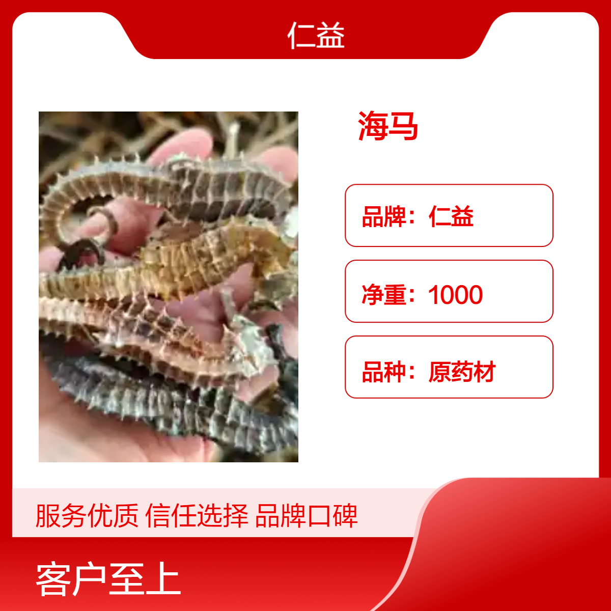 仁益品牌初级海马原药材 袋装选货 24小时发货