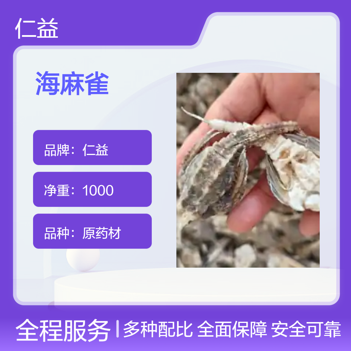 仁益初级海麻雀原药材1000g 医生推荐 阴凉保存