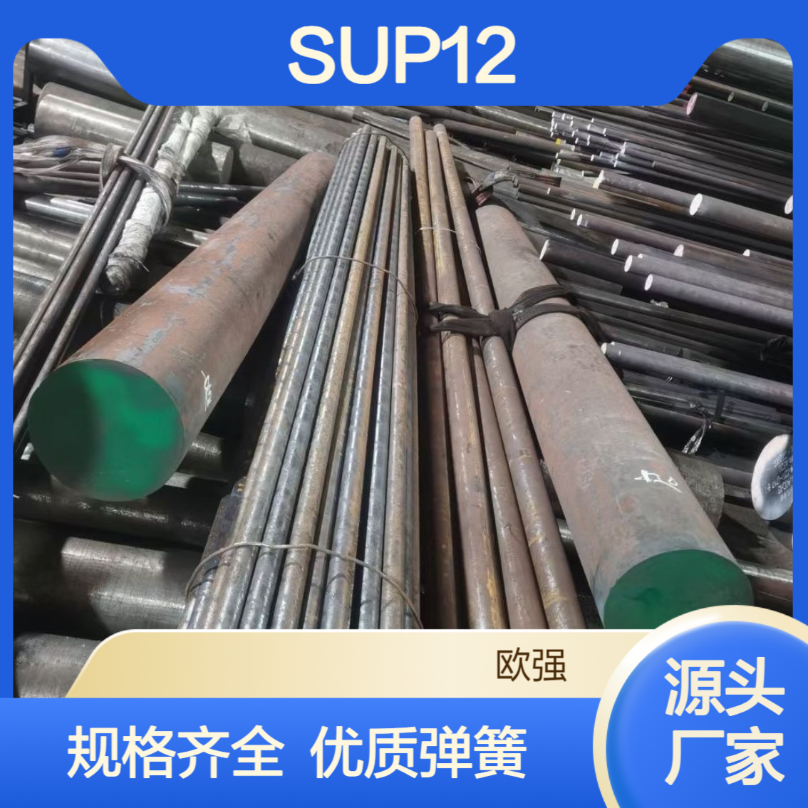 供应SUP12圆棒 SUP13板材/卷带 优质碳素弹簧钢 规格齐全