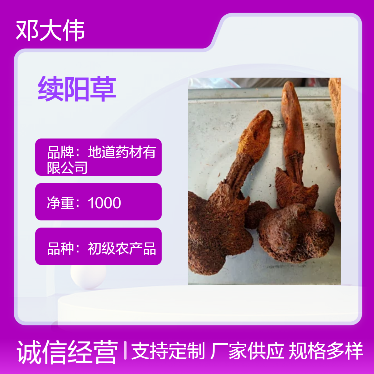 原色续阳草原药材 优选佳品 散装3年保质期 全国批发