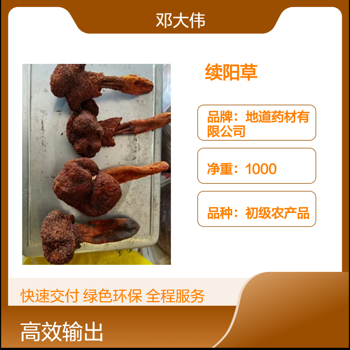中药材续阳草 产地直供 一手货源 全国包邮 地道药材