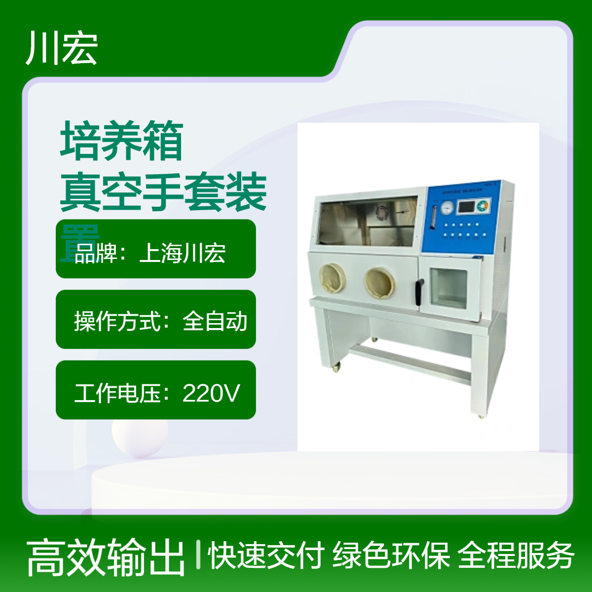 厌氧培养箱 YQX-II 微需氧细菌培养真空手套装置