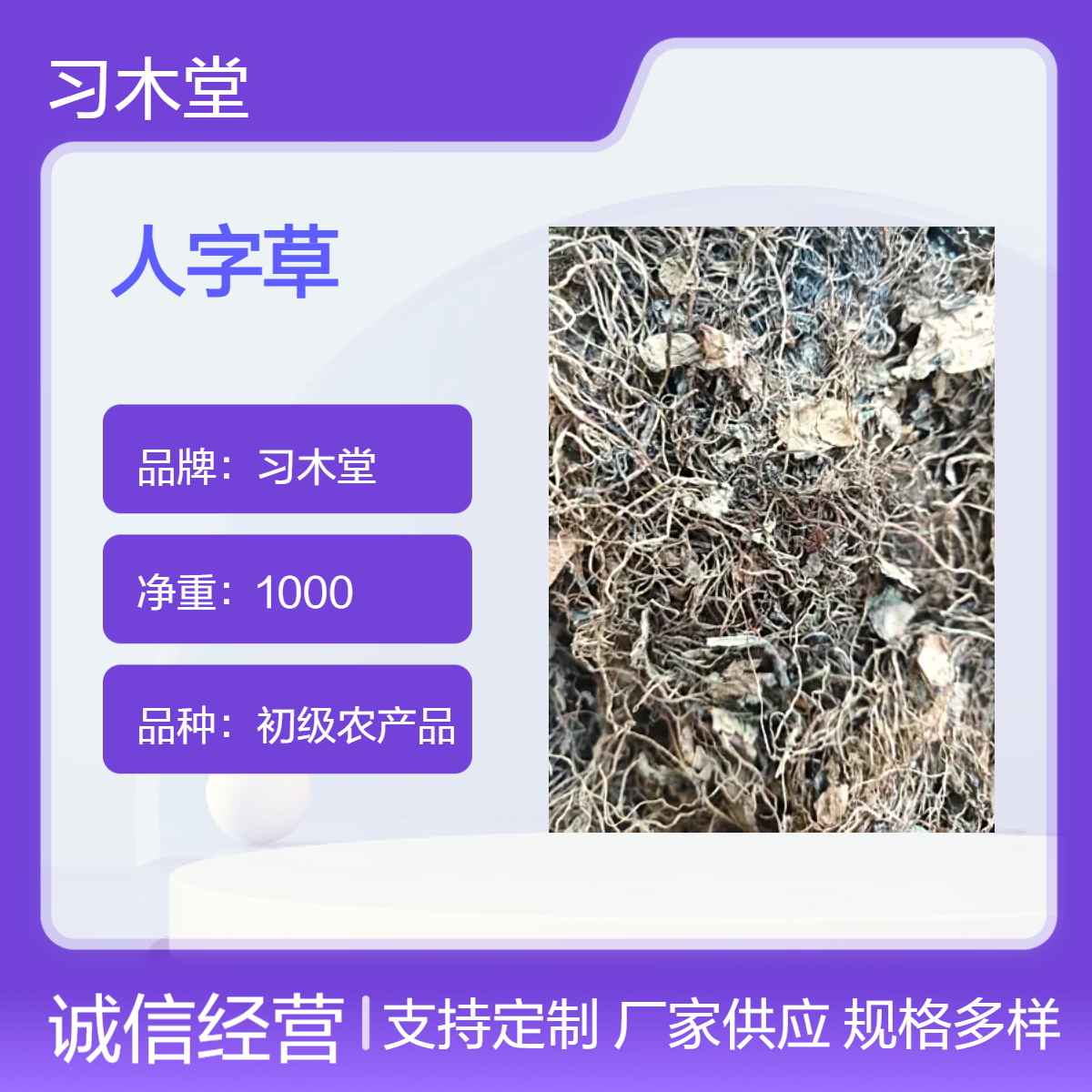 供应 人字草 丁葵草 当年新货 无硫 保质保量 产地直售 各种规格