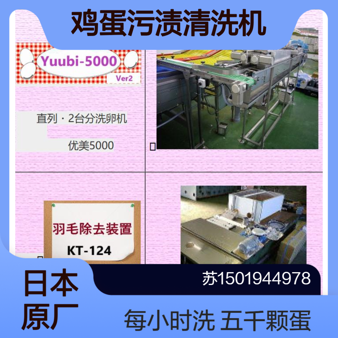 Triton-Kyoto 鸡蛋污渍清洗机 YUUBI-5000 减少禽蛋破损和裂纹的发生