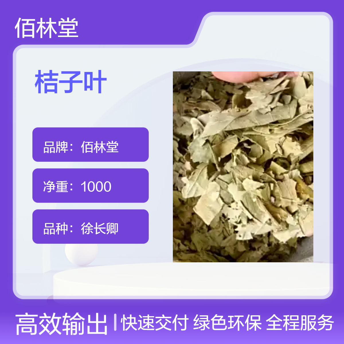 佰林堂一级徐长卿桔子叶 初级农产品 阴凉干燥储存