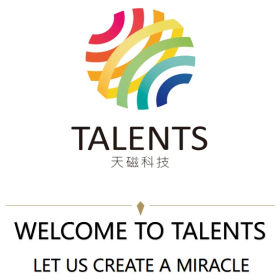 宁波天磁电子科技有限公司