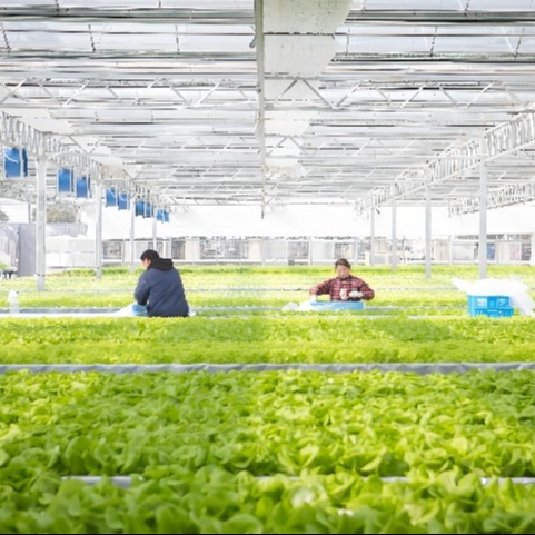 灌区等级划分标准是怎样的
