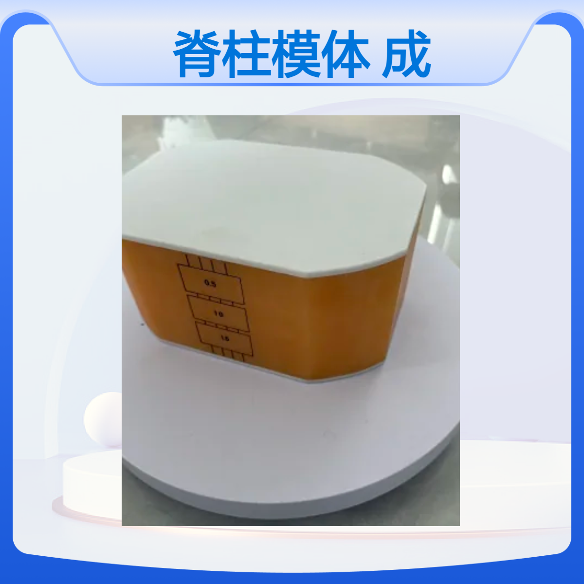 X射线脊柱模体CT腰椎扫描成像模体腰椎通用模型定制