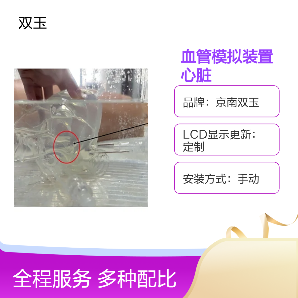心电生理模型血管模拟装置教学训练心脏定制