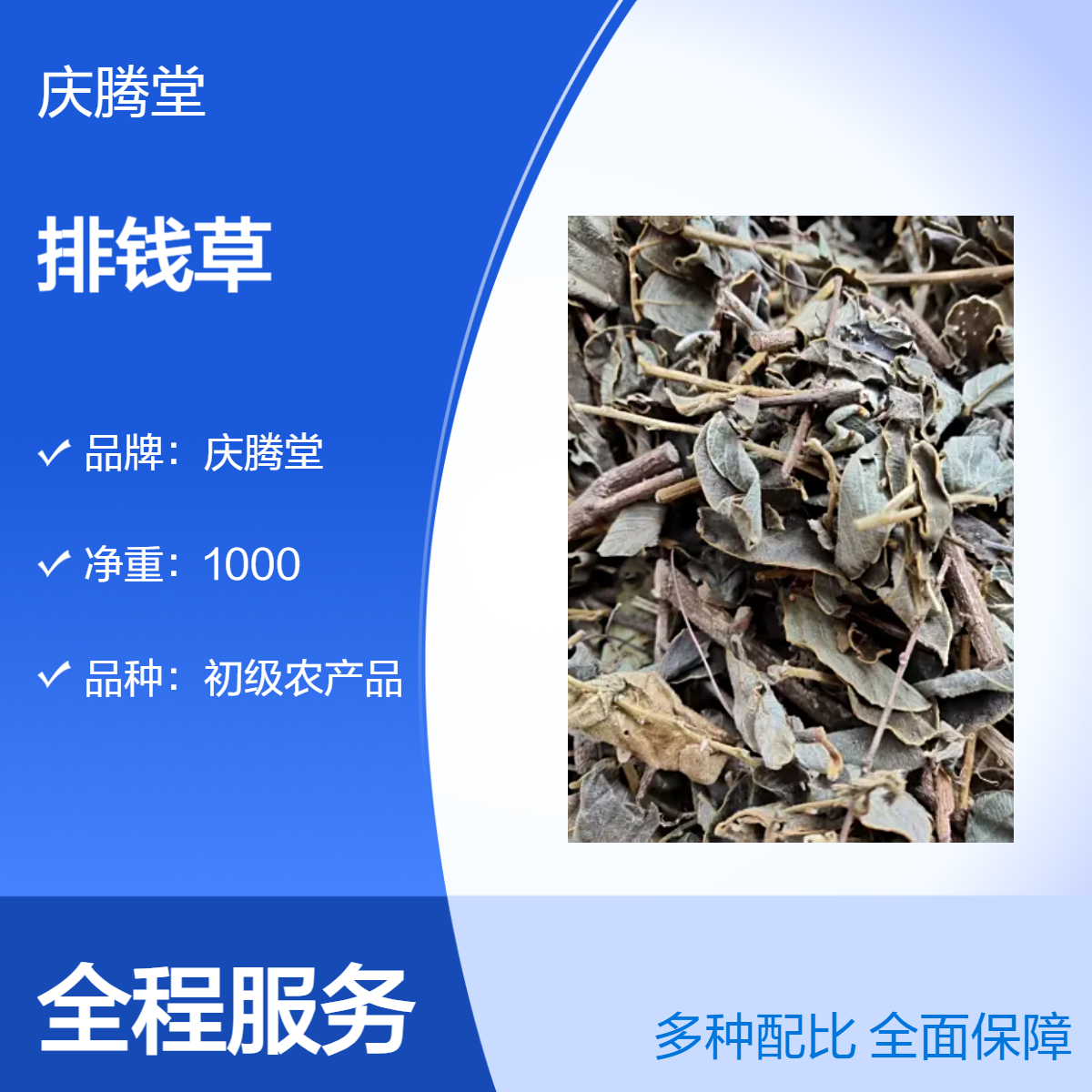 中药材 排钱草 人字草 白花丹 新货 无硫 各种规格