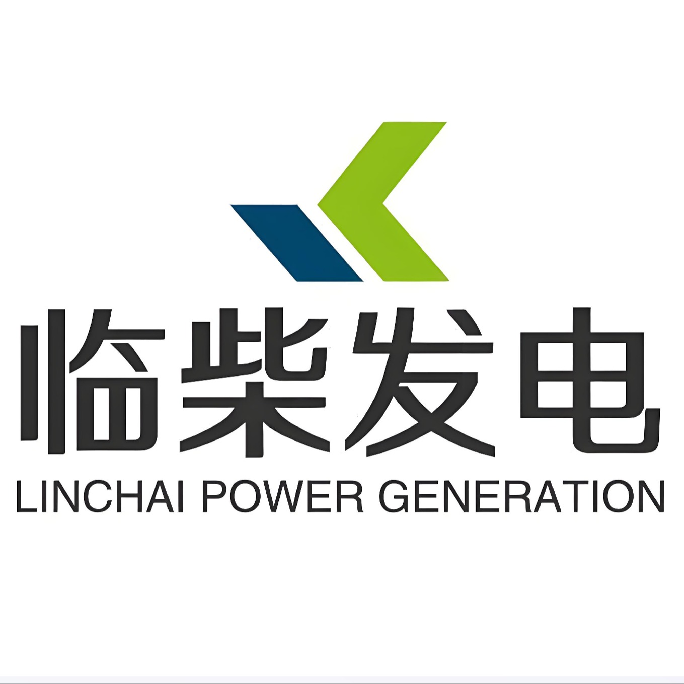 山东临柴发电设备有限公司